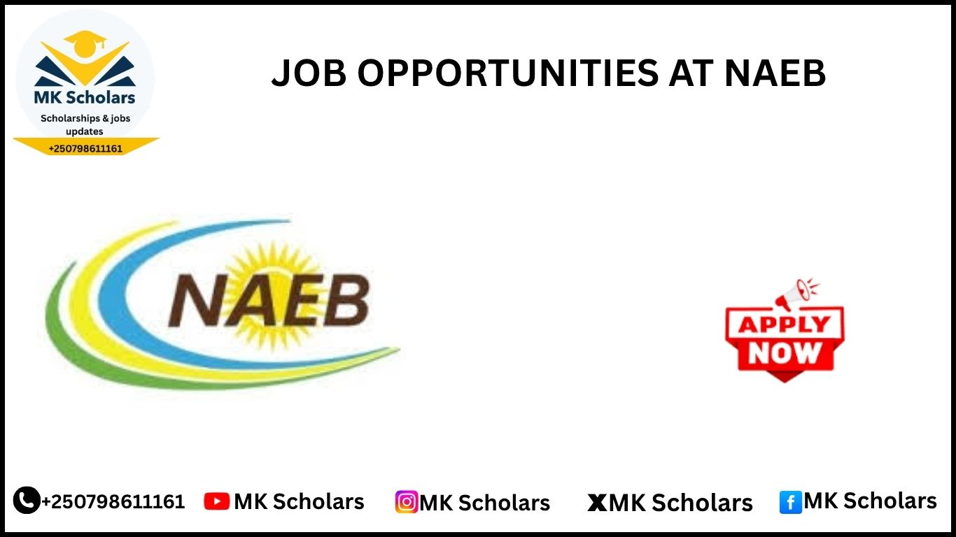 JOB OPPORTUNITIES AT NAEB 